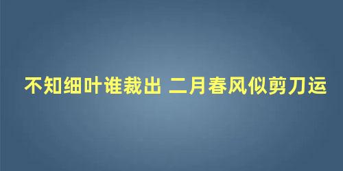 不知细叶谁裁出 二月春风似剪刀运用了什么修辞手法